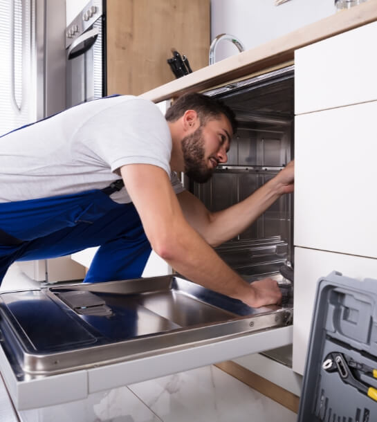 dishwasher repair osgoode