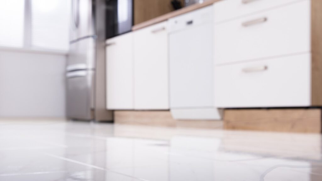 dishwasher leaking